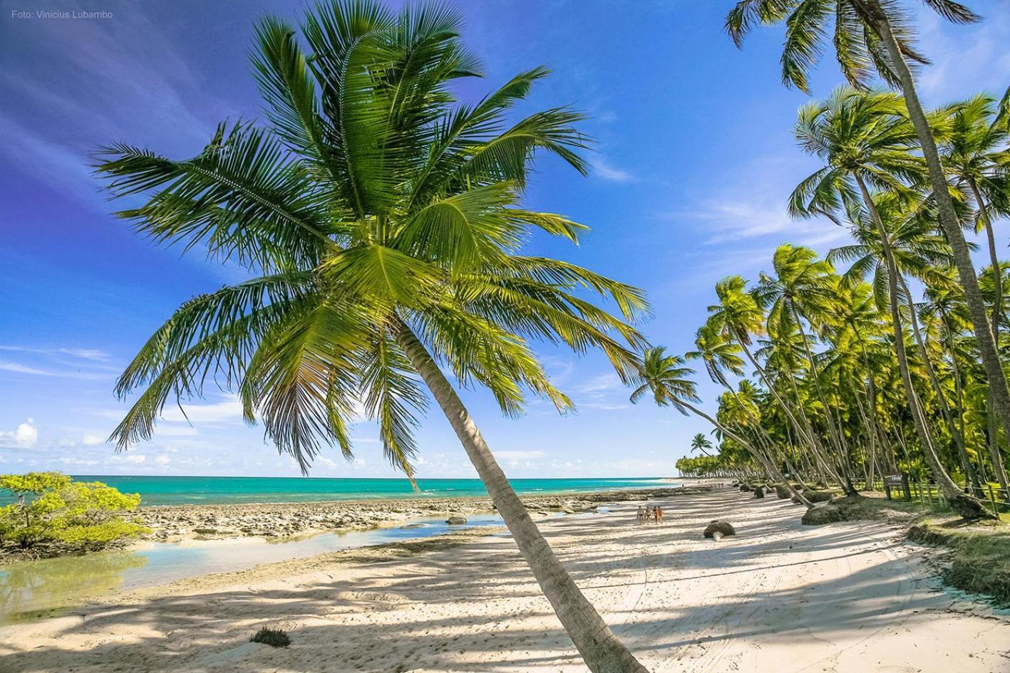 Carneiros Beach Resort プライア・ドス・カルネイロス エクステリア 写真