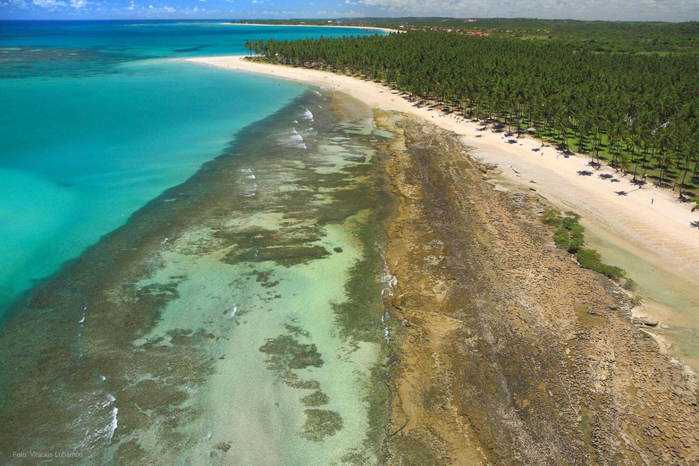 Carneiros Beach Resort プライア・ドス・カルネイロス エクステリア 写真
